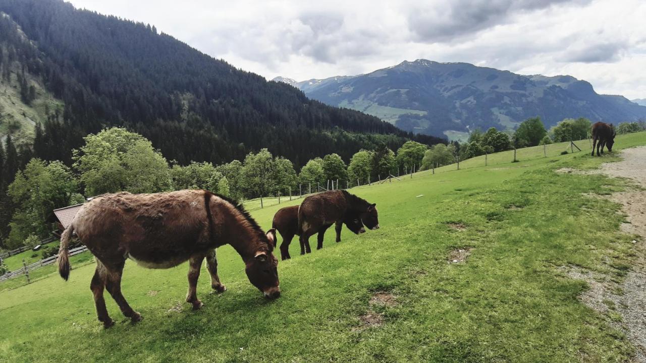 Privatzimmervermietung Foidlbauer Bed and Breakfast Oberndorf in Tirol Exterior foto